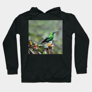 Gorgeous Malachite Sunbird | African Wildlife Hoodie